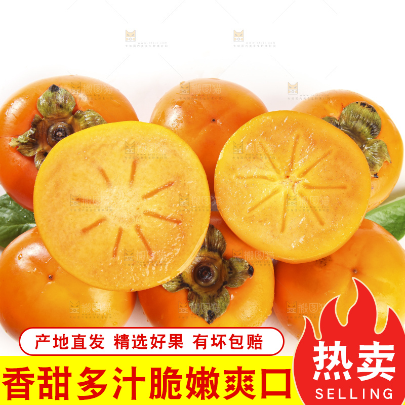 白底上的脆柿