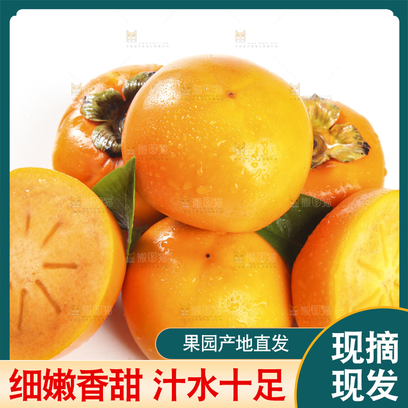 白底上的脆柿