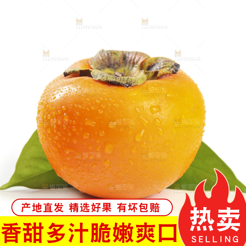 白底上的脆柿