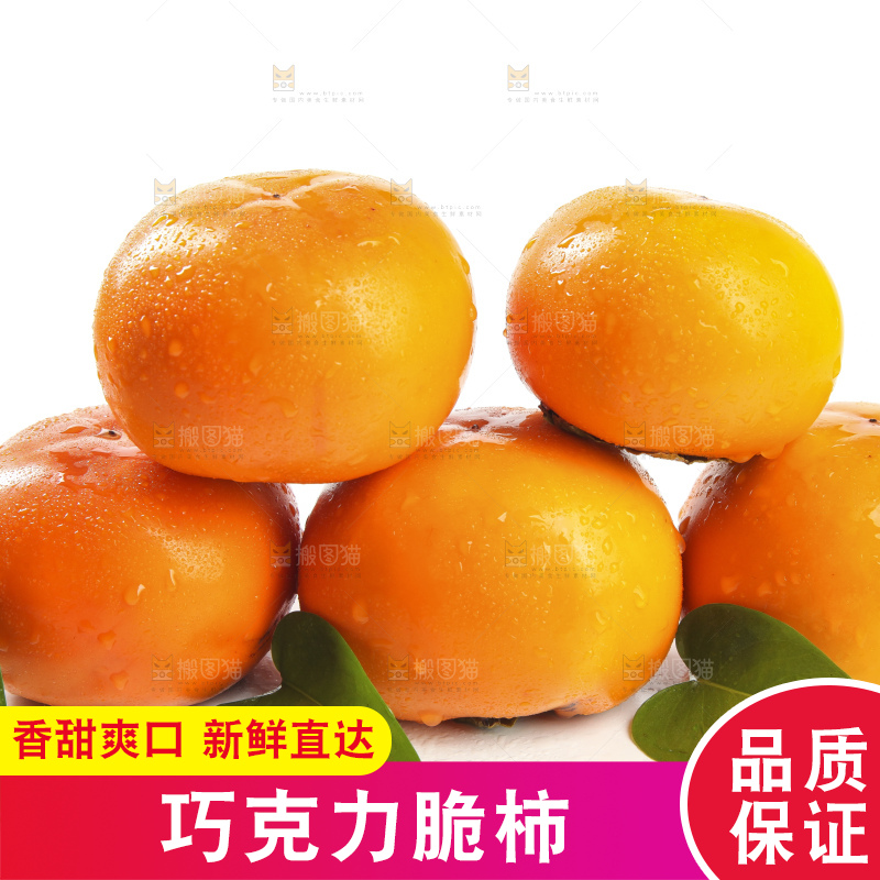 白底上的脆柿
