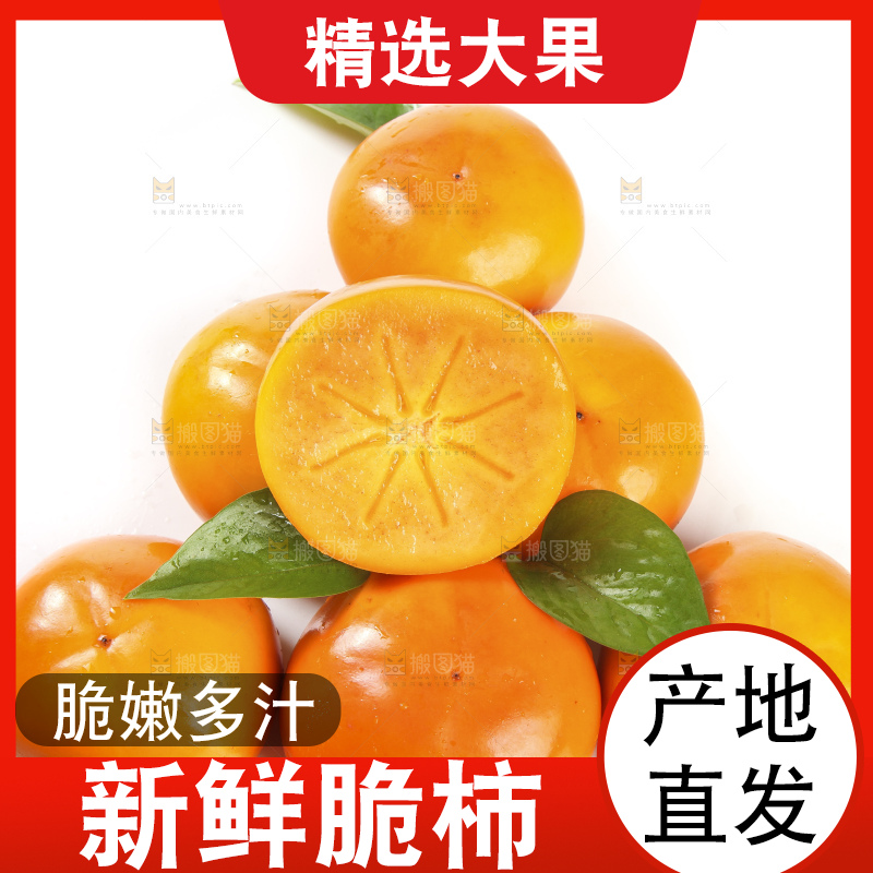 白底上的脆柿