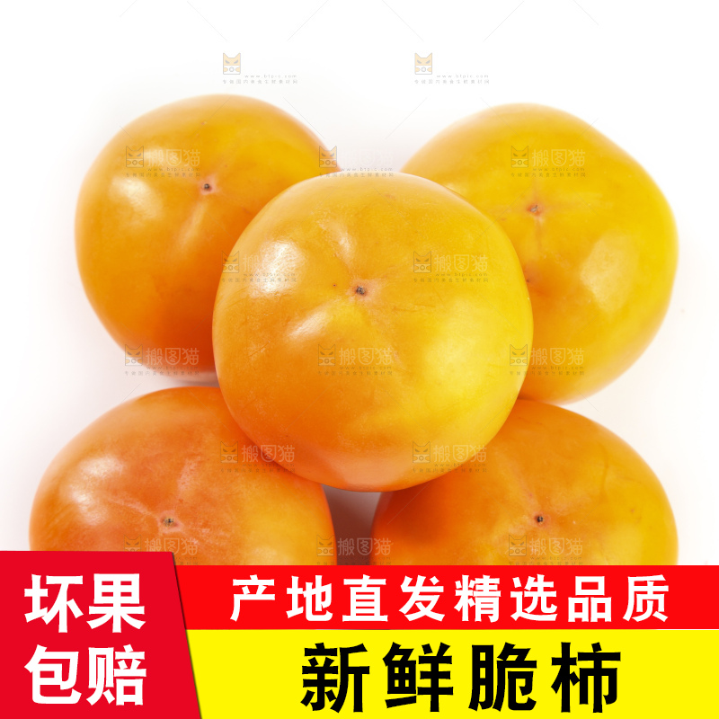 白底上的脆柿