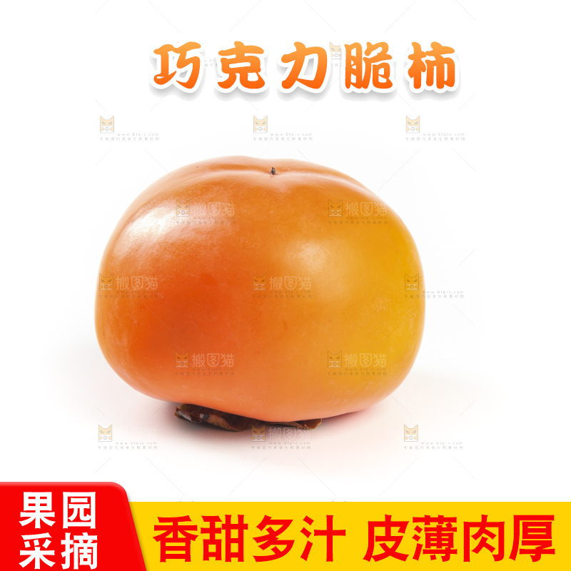 白底上的脆柿