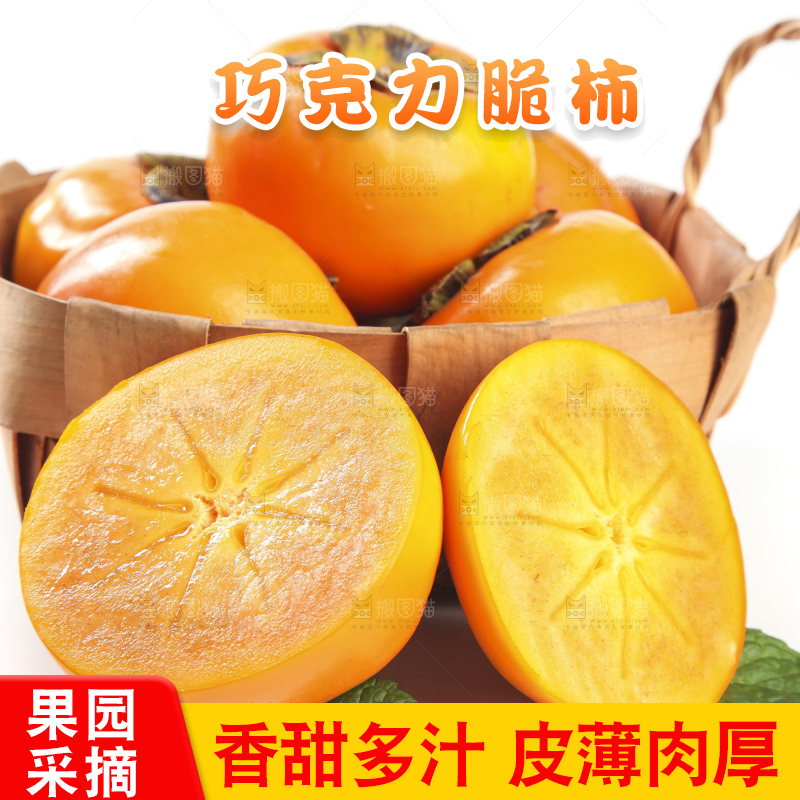白底上的脆柿