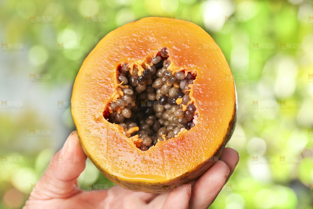 草地上的红心木瓜