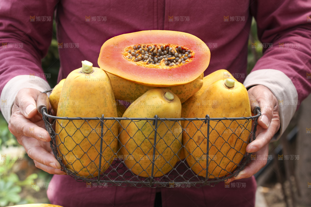 草地上的红心木瓜