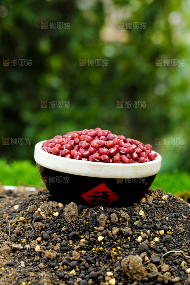 深底上的红豆