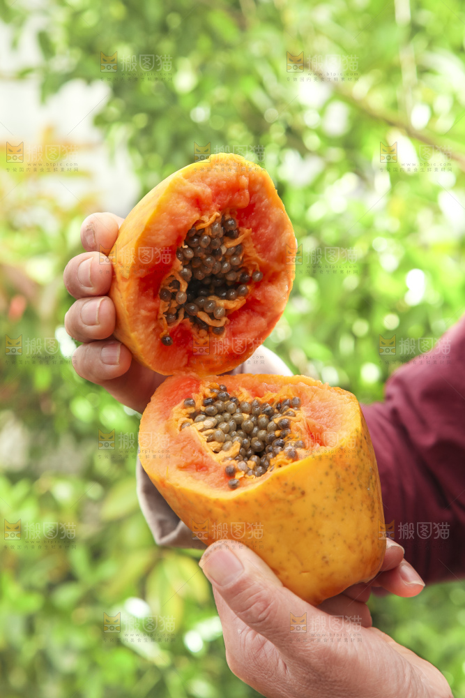 手里拿着红心木瓜