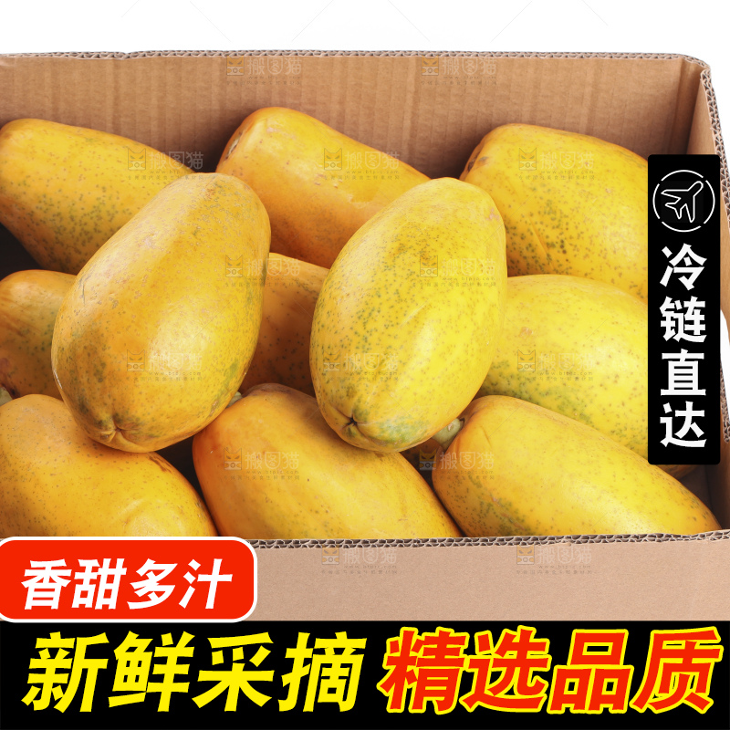 白底上的红心木瓜