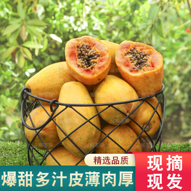 草地上的红心木瓜