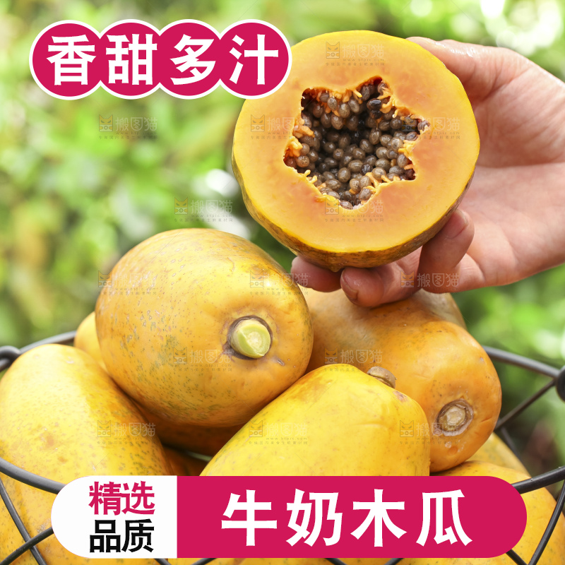 草地上的红心木瓜
