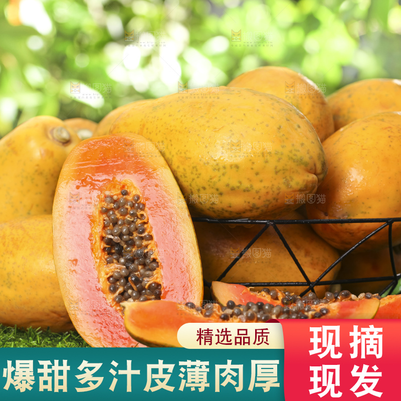 草地上的红心木瓜