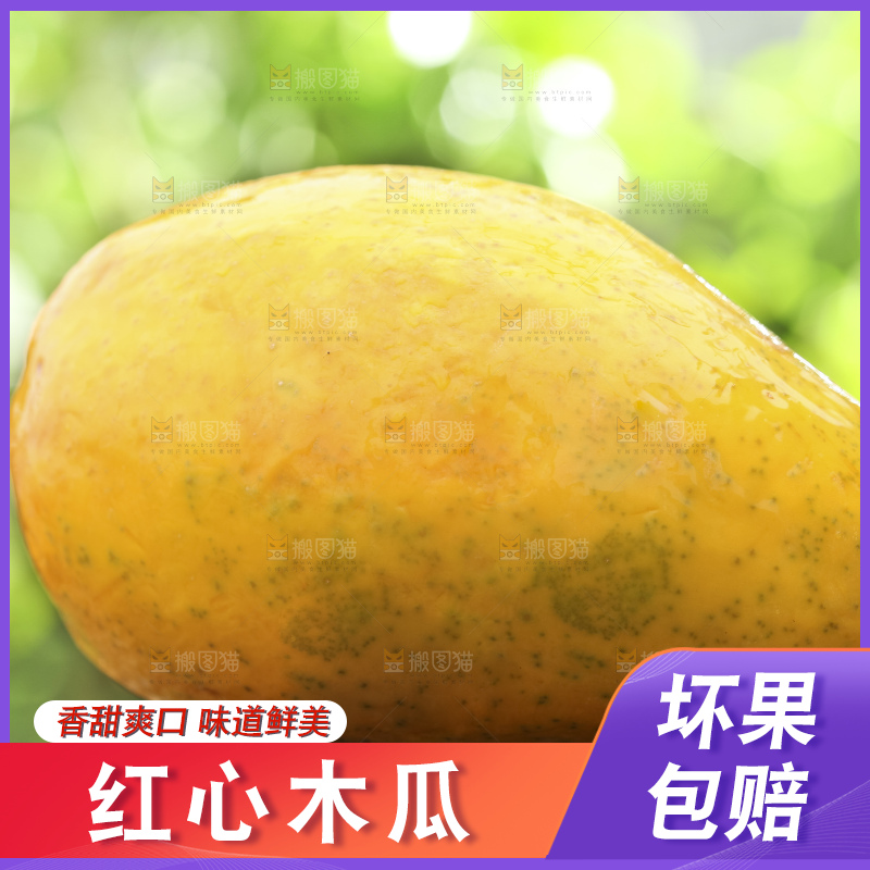 草地上的红心木瓜