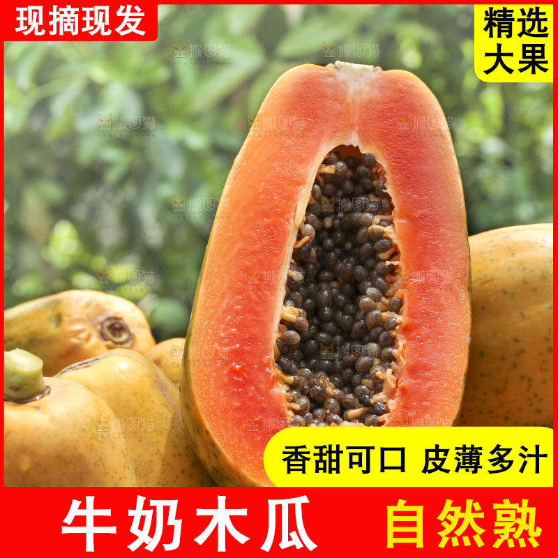 草地上的红心木瓜