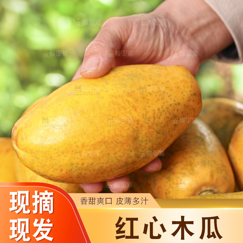 草地上的红心木瓜