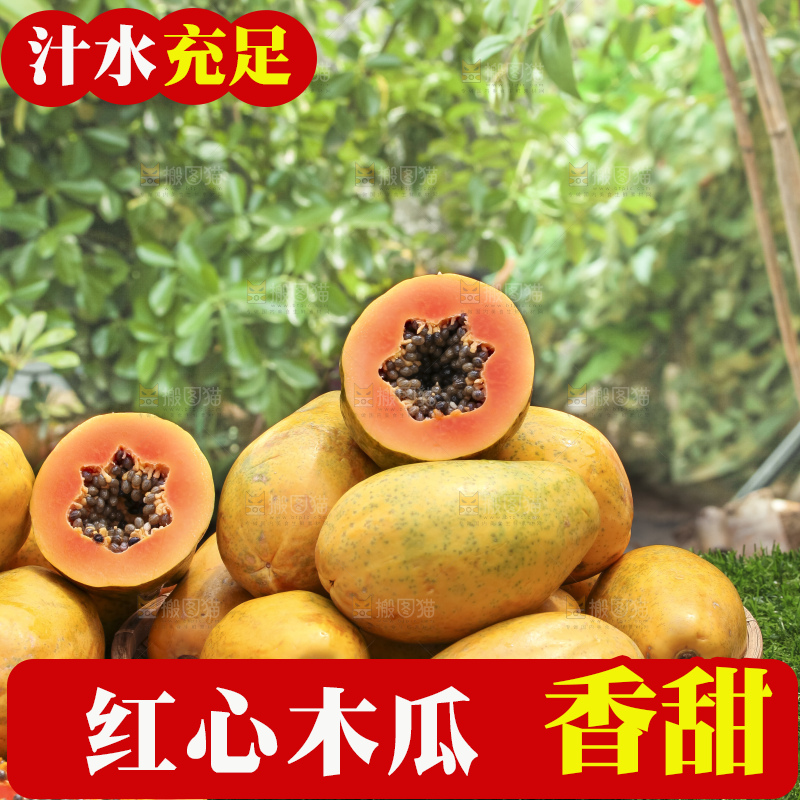 草地上的红心木瓜