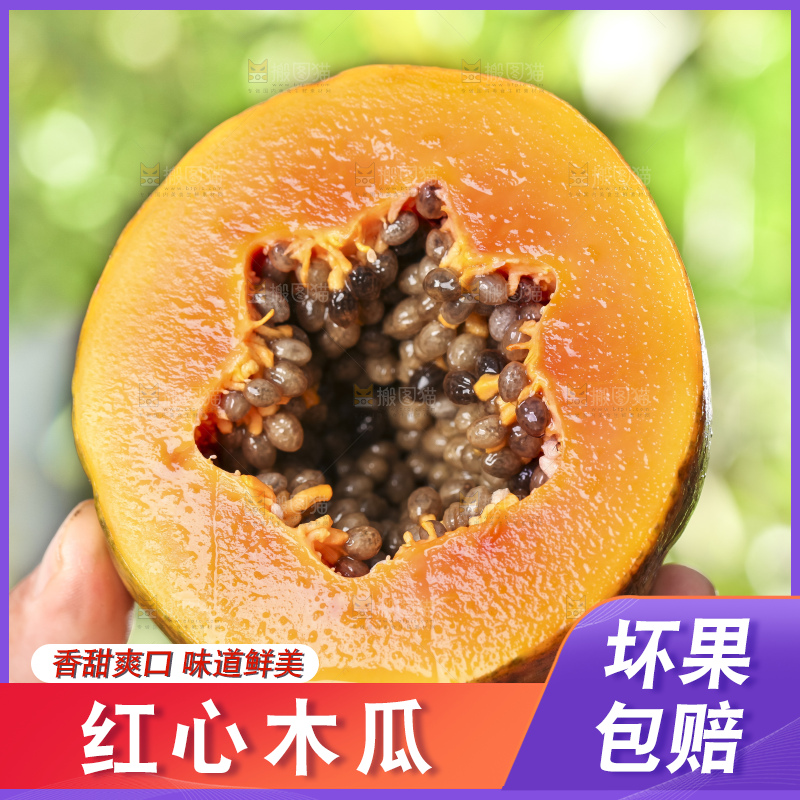 草地上的红心木瓜