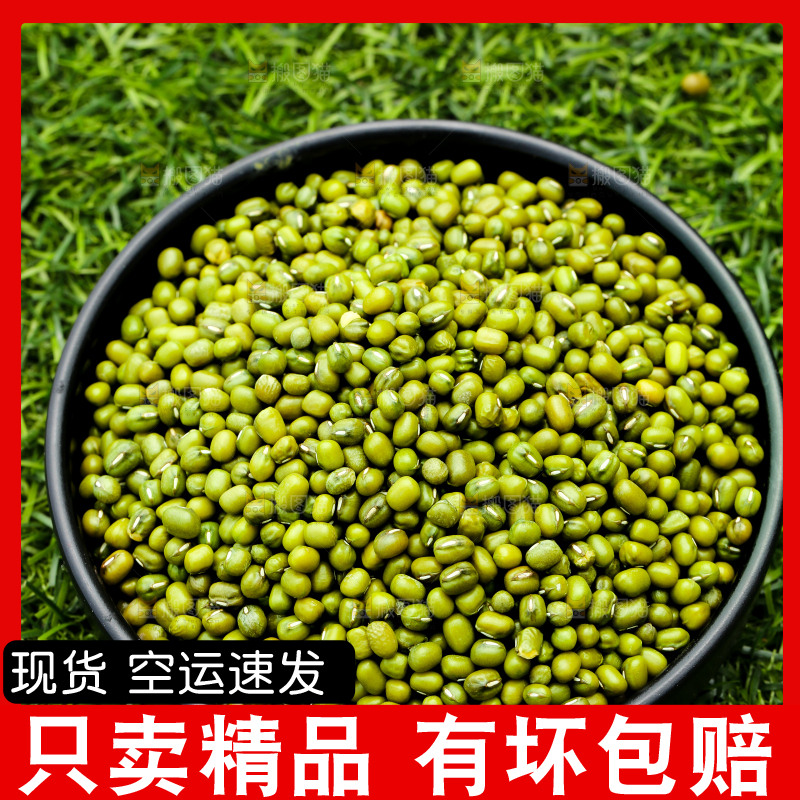 草地上的绿豆