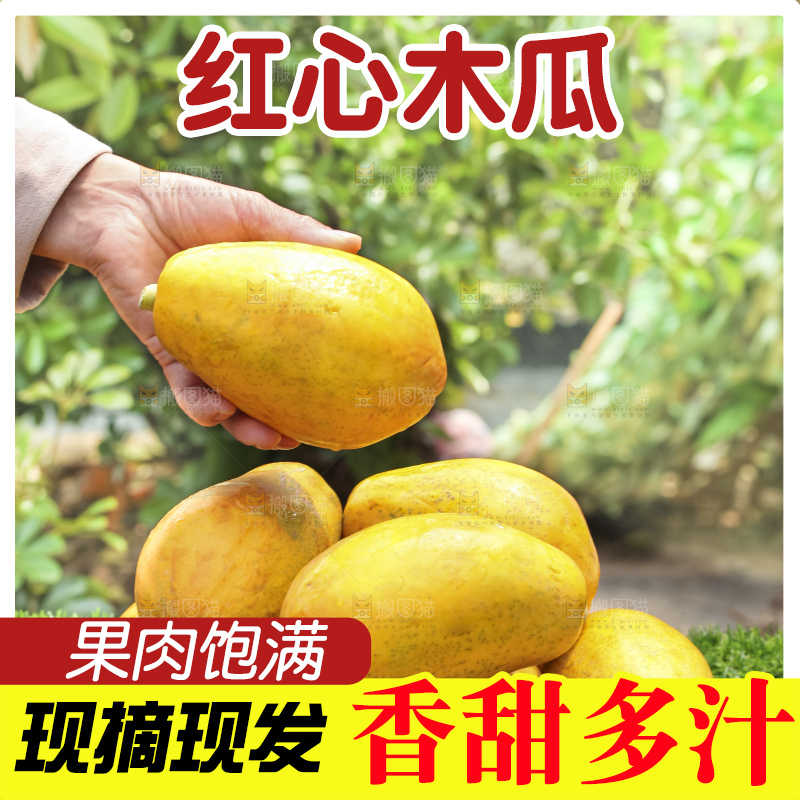 草地上的红心木瓜