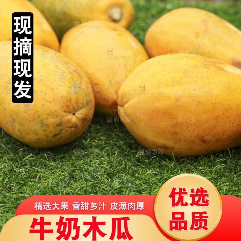 草地上的红心木瓜