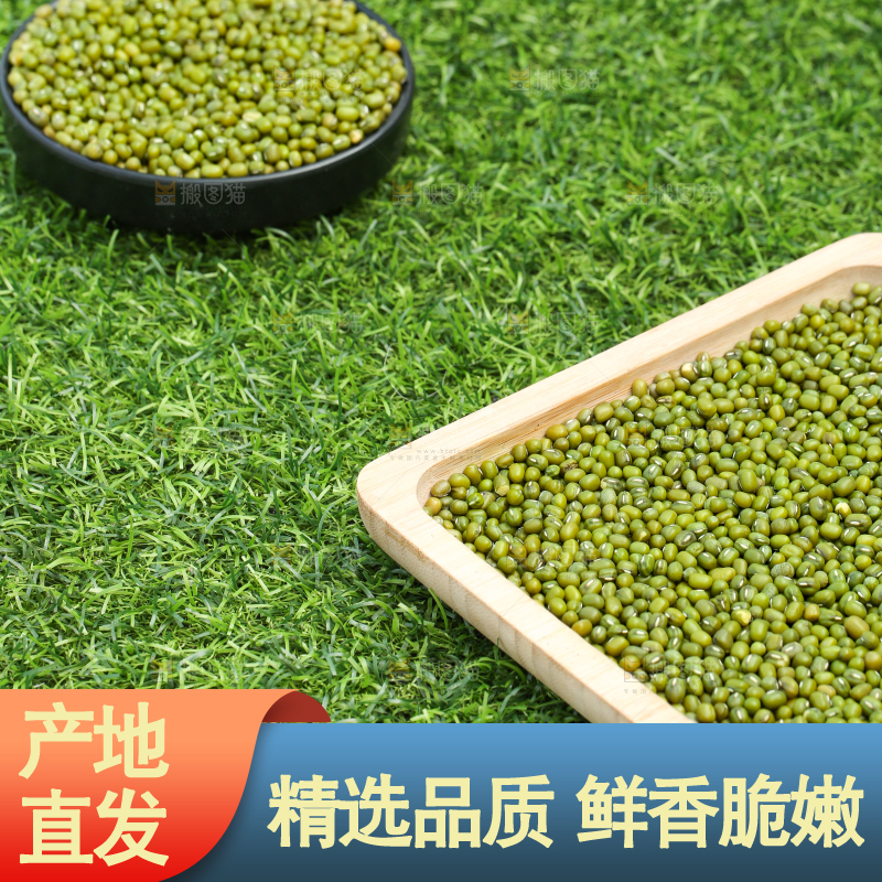 草地上的绿豆