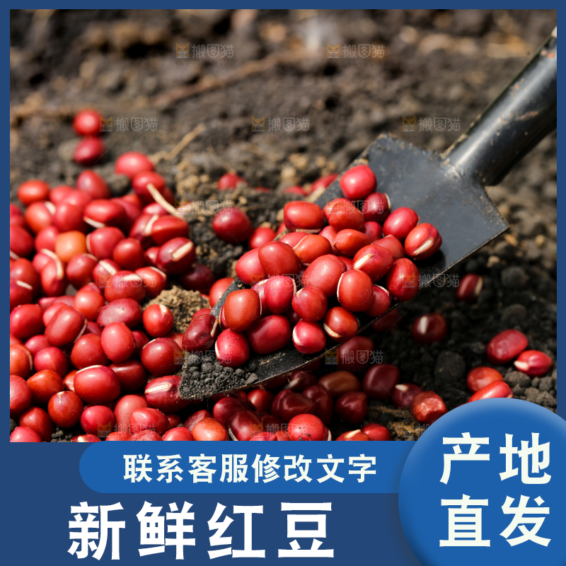深底上的红豆
