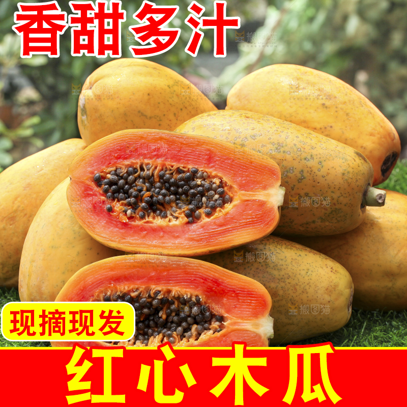 草地上的红心木瓜