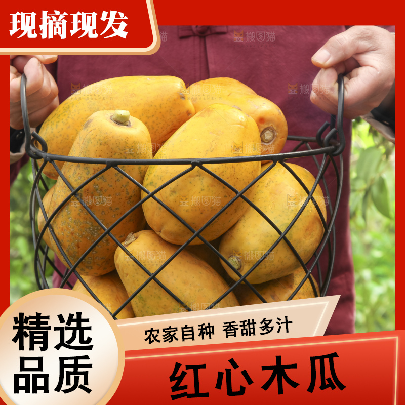 草地上的红心木瓜
