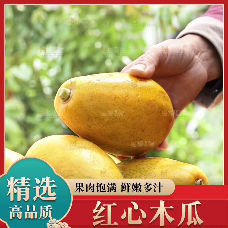 草地上的红心木瓜
