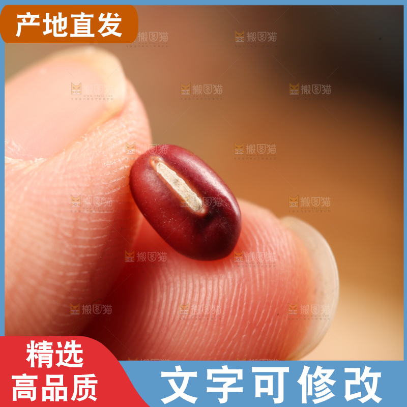 深底上的红豆