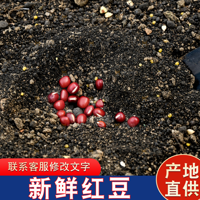 深底上的红豆