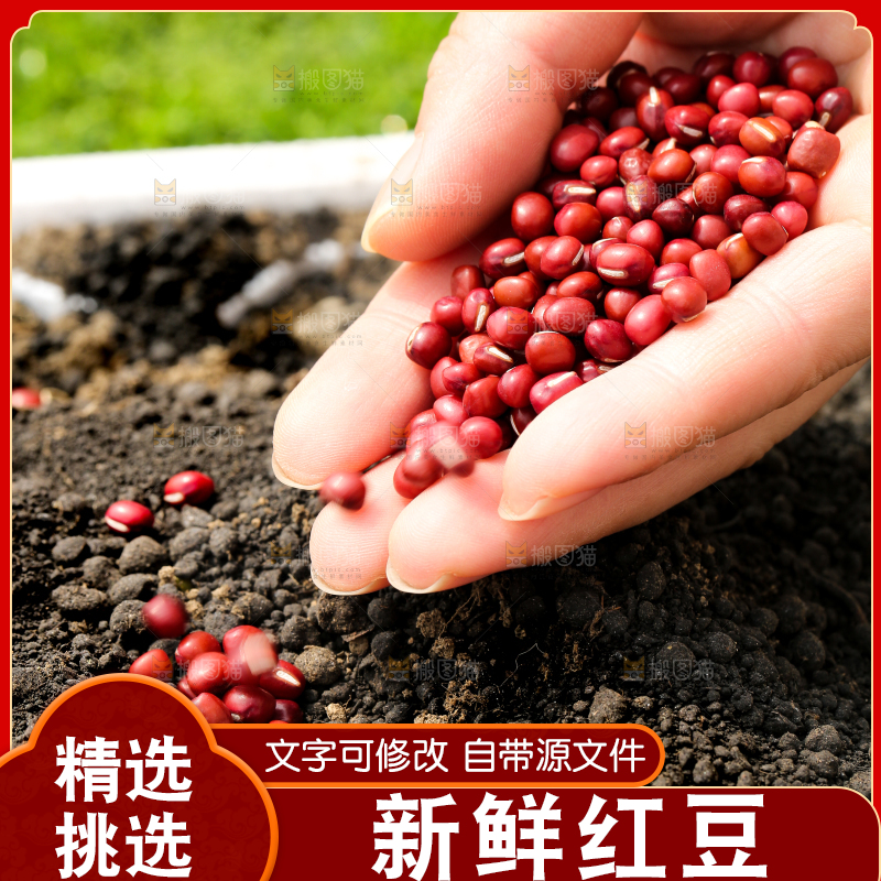深底上的红豆