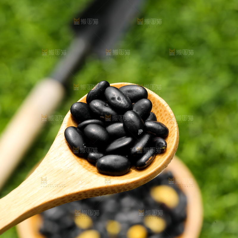 深底上的黄心黑豆