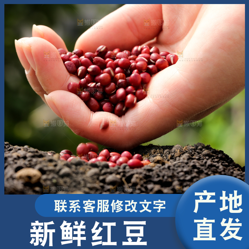深底上的红豆