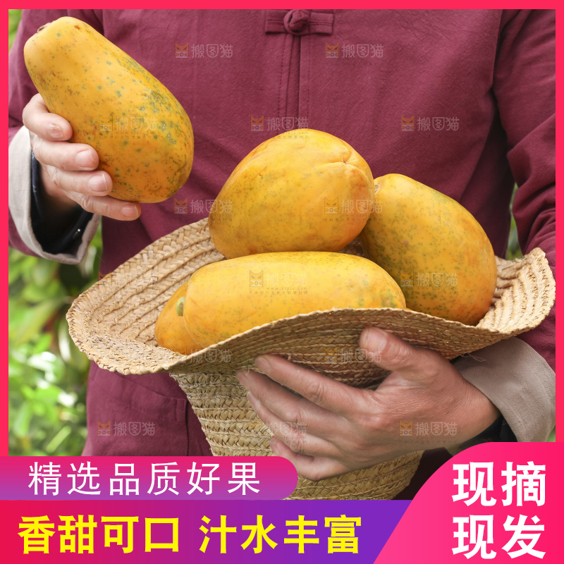 手里拿着红心木瓜