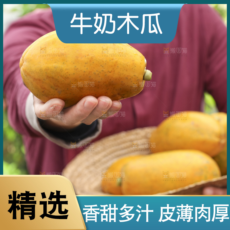 手里拿着红心木瓜