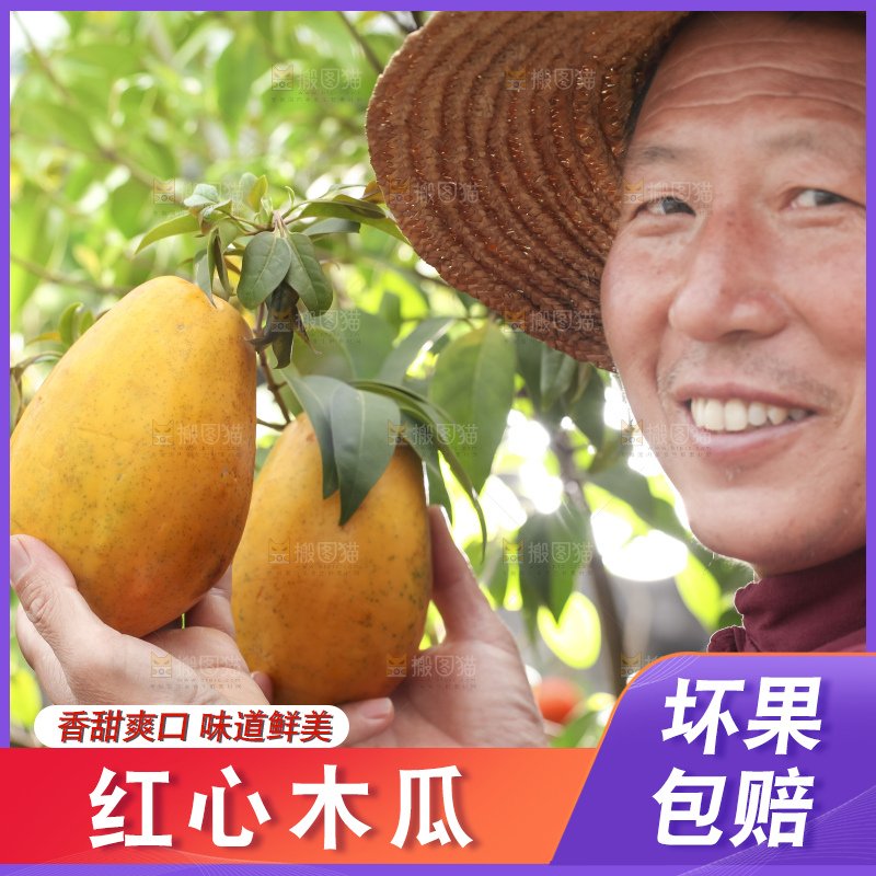 手里拿着红心木瓜