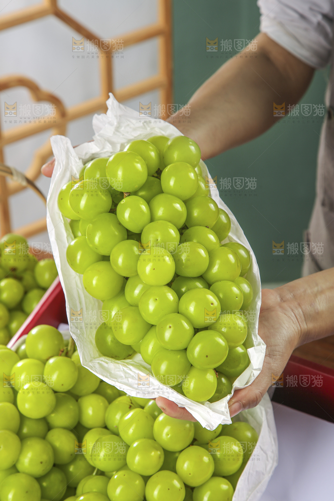 木底上的阳光玫瑰