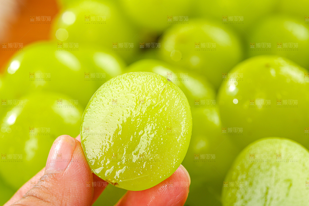 木底上的阳光玫瑰
