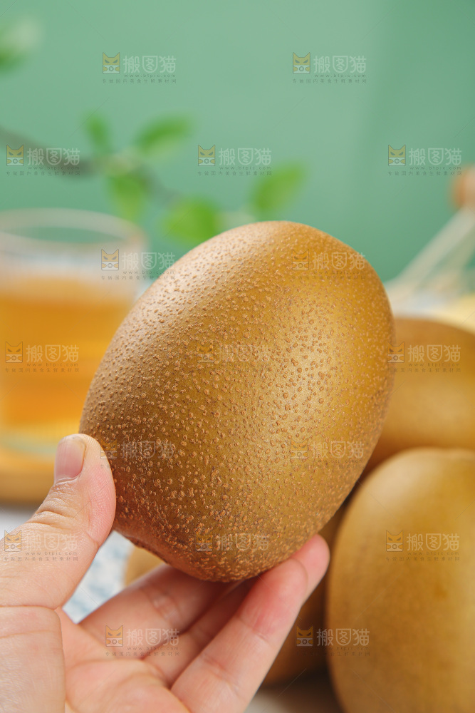 浅底上的佳沛金果