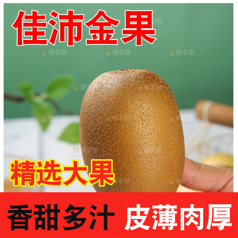 浅底上的佳沛金果