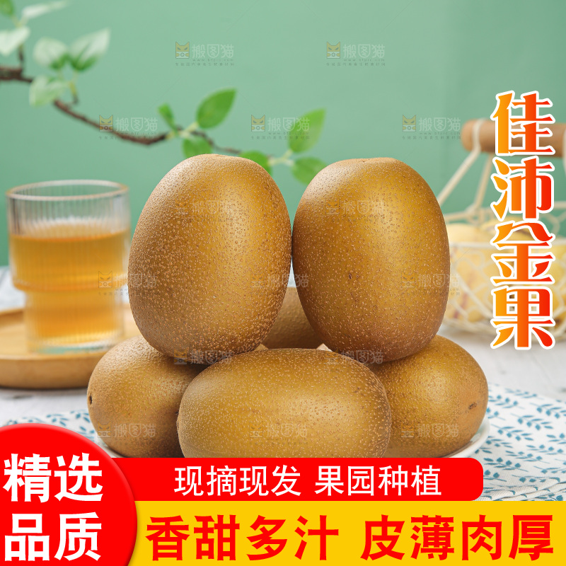 浅底上的佳沛金果