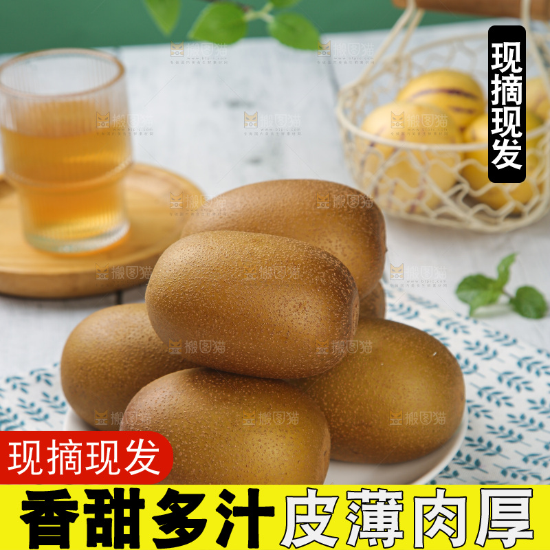 浅底上的佳沛金果