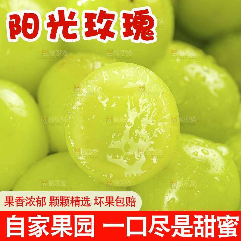 木底上的阳光玫瑰