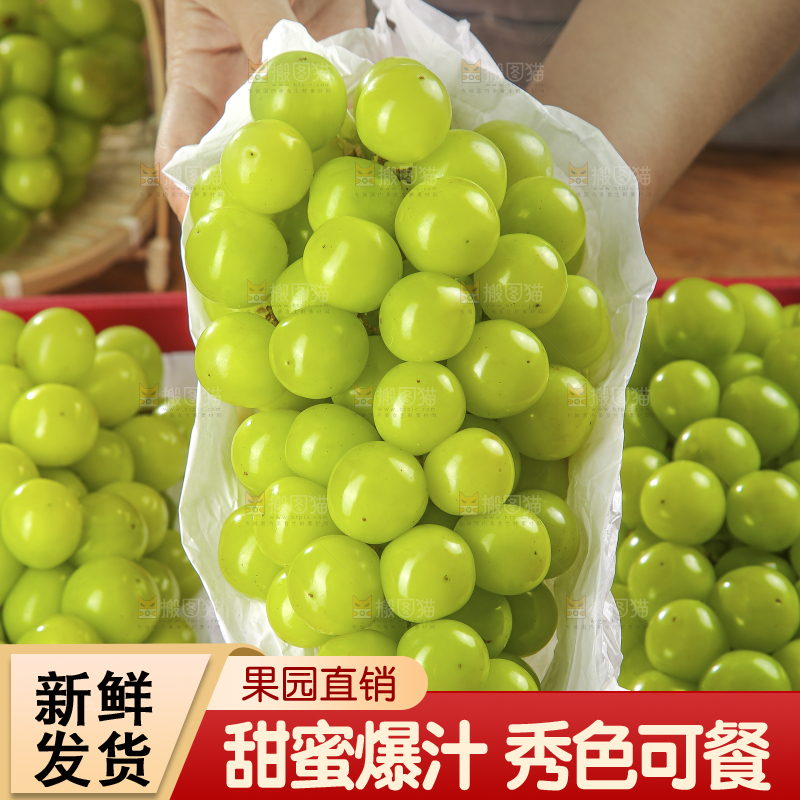 礼盒里的阳光玫瑰