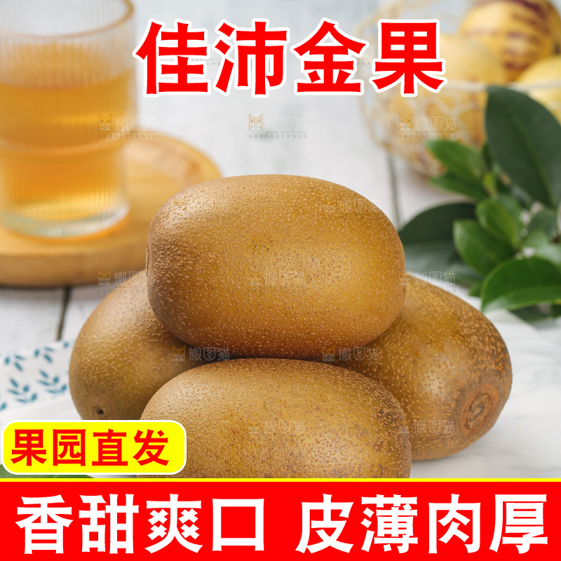 浅底上的佳沛金果