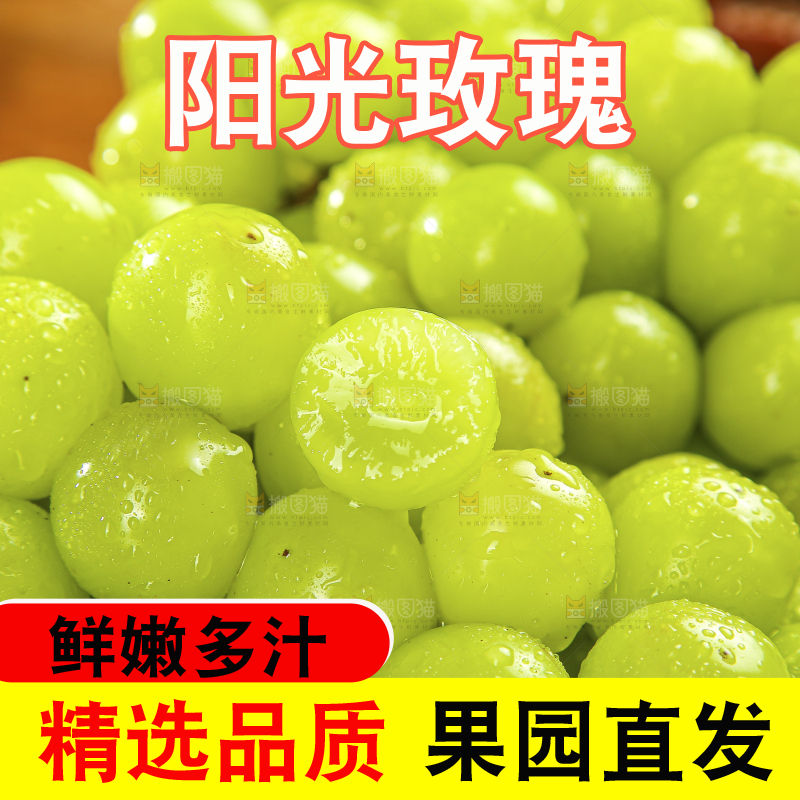 木底上的阳光玫瑰