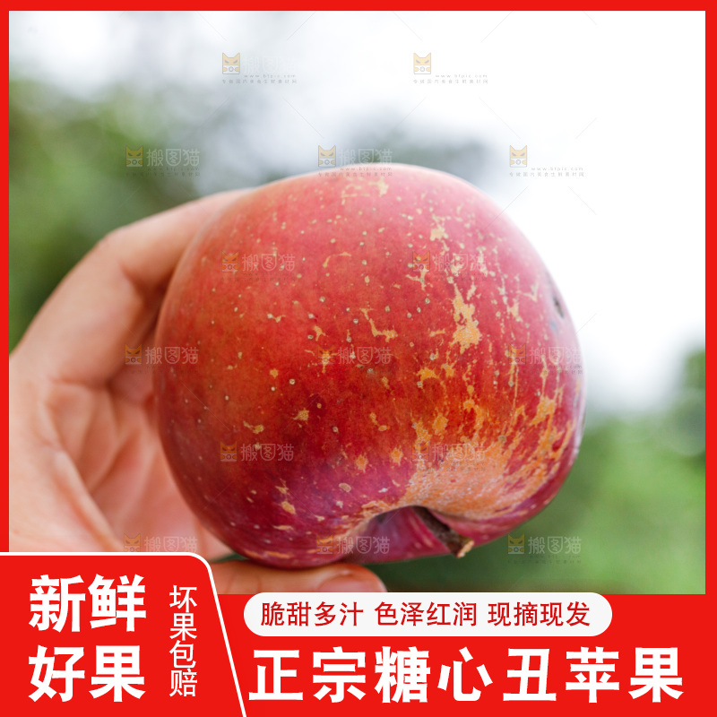 手里拿着丑苹果