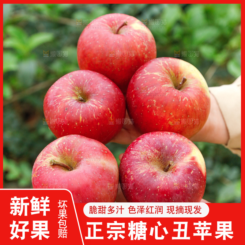 手里拿着丑苹果