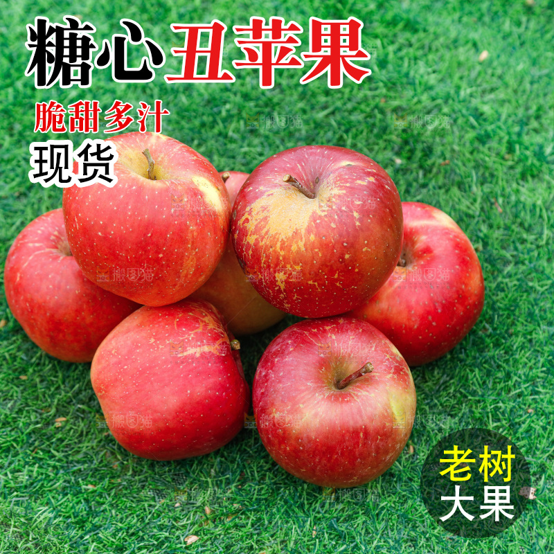 草地上的糖心苹果